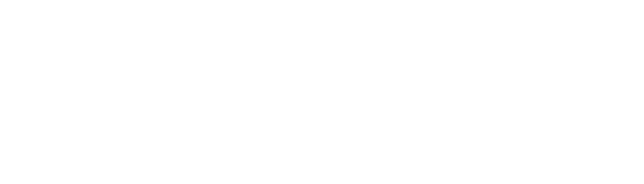 logo_ayws_white