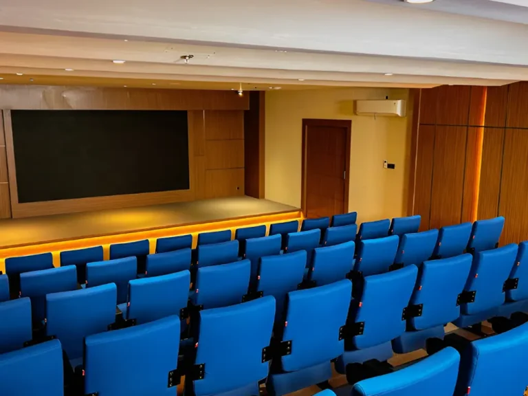 Theater Room